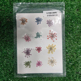 DRY PRESSED JEWELLERY FLOWERS MULTY MINI